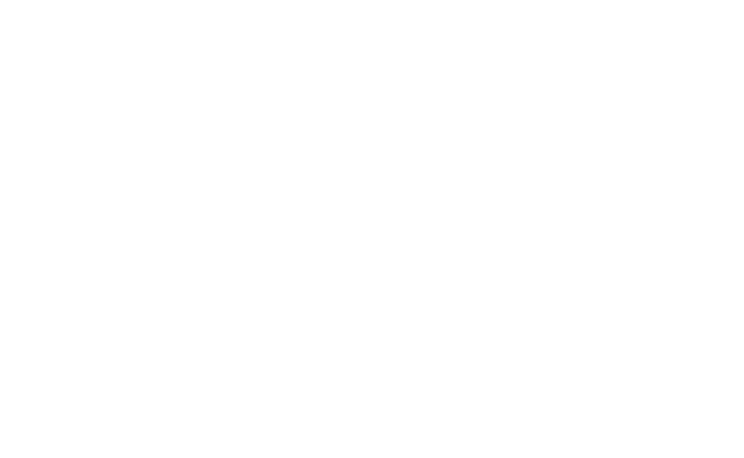 مشاور چایچی